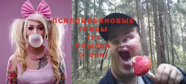 эйфоретик Алексеевка