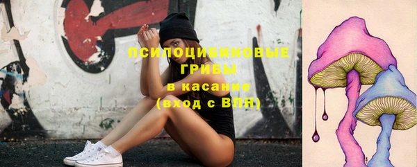 кристаллы Алзамай