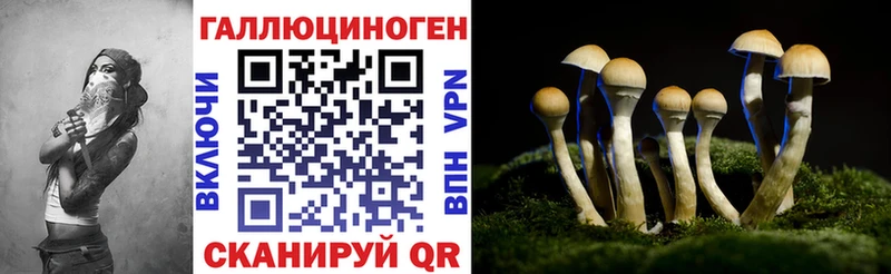 купить наркотик  Апатиты  Галлюциногенные грибы Psilocybine cubensis 