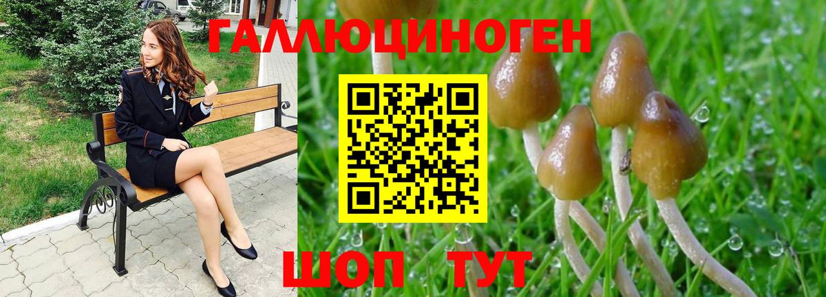 Апатиты  Галлюциногенные грибы Psilocybe  Вход с VPN 